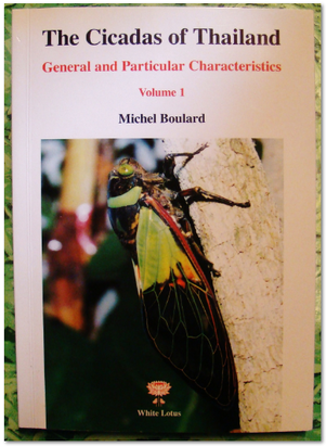 THE CICADAS OF THAILAND Volume1