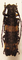 Cymatura itzingeri