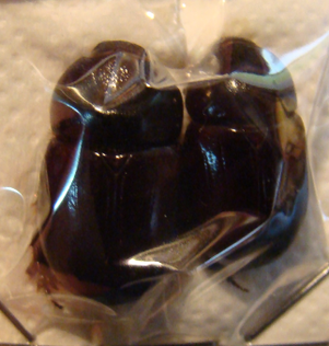 Cheiroplatys volsellus